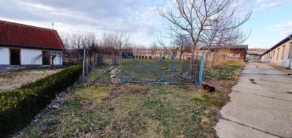 PREDANÉ- Veľký prevádzkový areál, Palárikovo, 8000 m2 | cena na vyžiadanie | foto