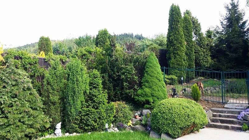 PREDANÉ Rodinný dom - RD, Martin- Sklabiňa | cena na vyžiadanie | foto