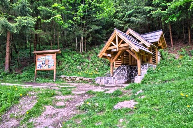 Rodinný dom - RD, Bacúch, 573 m2 | 49.000 €  | foto