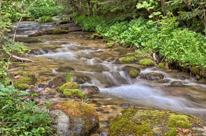 Rodinný dom - RD, Bacúch, 573 m2 | 49.000 €  | foto