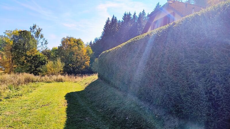 Rodinný dom - RD, Krahule, 3000 m2 | 369.000 €  | foto